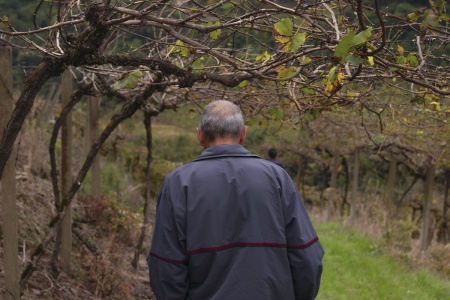 Dia Nacional do Imigrante Italiano