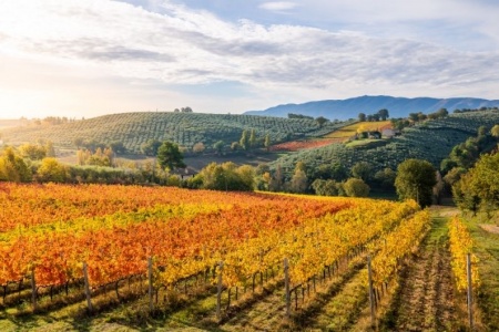 Outono na It�lia: clima, gastronomia e destinos para visitar